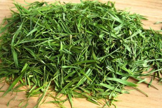 哪類人不適合喝石竹茶，石竹茶的功效與禁忌