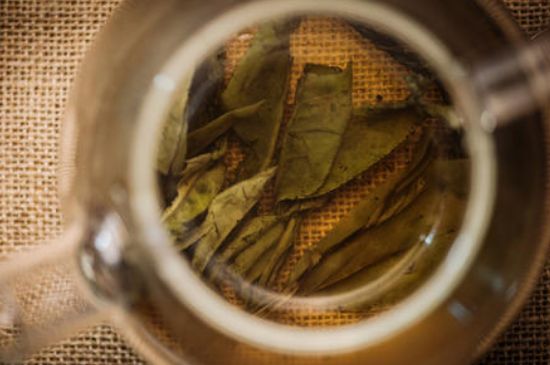 苦丁茶副作用，苦丁可以經(jīng)常喝嗎？