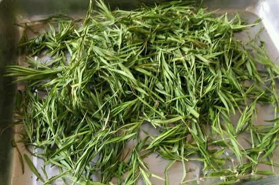 哪類人不適合喝石竹茶，石竹茶的功效與禁忌