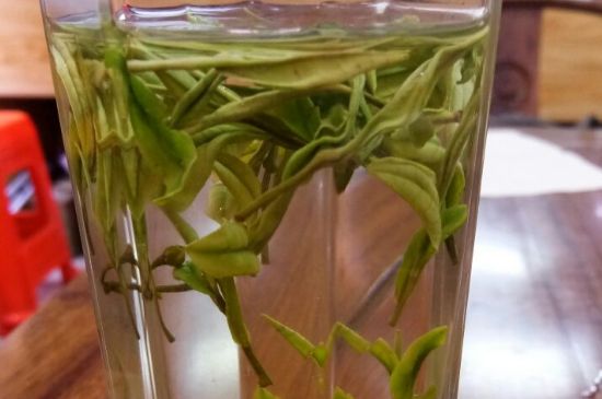 云霧綠茶的功效及禁忌，哪些人不適合喝云霧茶