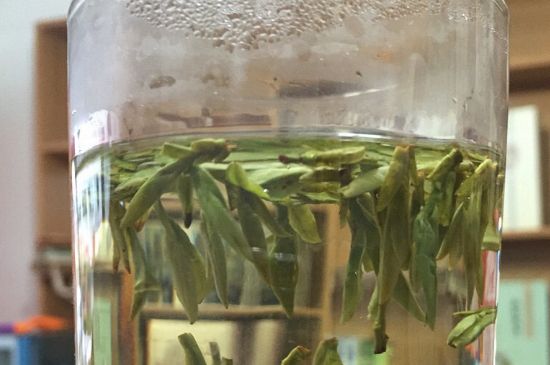 煮茶器能煮龍井嗎，龍井茶能不能用煮茶器圖