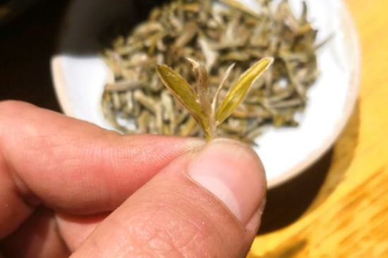 六大茶類哪種適合長期存放，日常如何保存方法一覽？