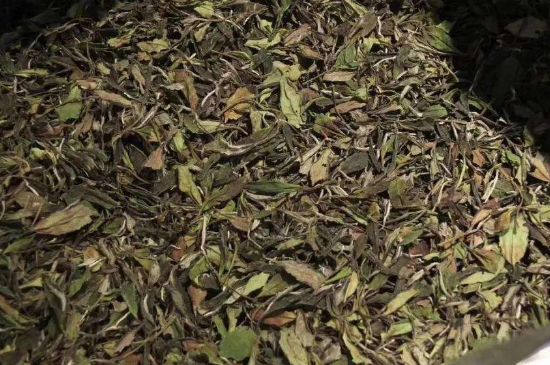 陳茶還是新茶好，茶葉是新茶好喝還是陳茶好喝