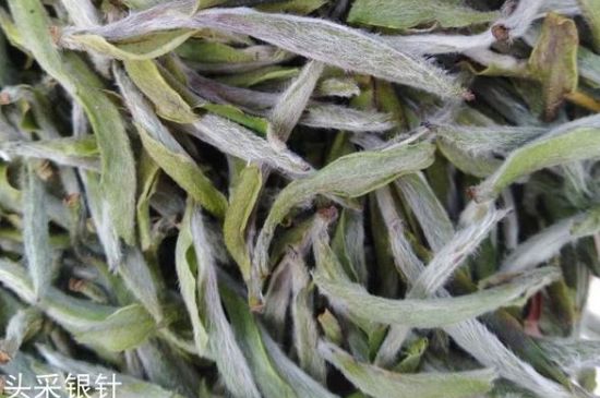 春茶季怎么辨別白毫銀針的好壞，好的白毫銀針如何選購(gòu)？