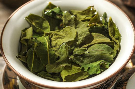 陳茶還是新茶好，茶葉是新茶好喝還是陳茶好喝