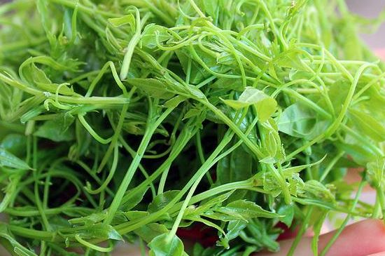 茅巖莓茶保質(zhì)期有多久，張家界莓茶存放時間長了還能喝嗎？