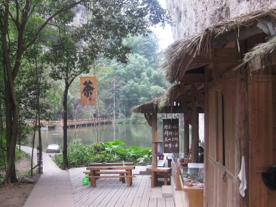 實體店買茶葉的技巧，新手買茶須知