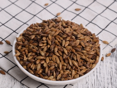 圓形顆粒狀茶是什么茶，像飼料一樣一粒粒的是什么茶？