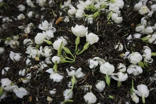 茉莉龍珠怎么做的，茉莉龍珠的制作工藝