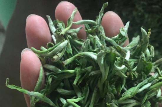 茉莉茶如何制作曬干，自制茉莉茶的做法