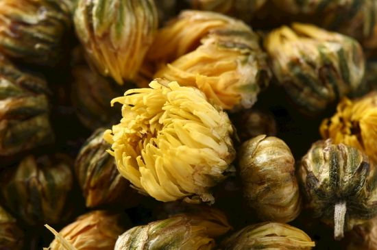 蒲公英搭配大全，蒲公英泡水喝的8種搭配