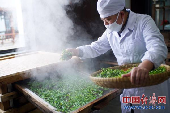 炒青綠茶與綠茶的區(qū)別，烘青和炒青哪個好喝？