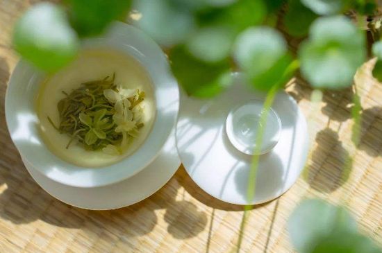 茉莉花茶6種人不要喝，什么體質(zhì)不適合喝茉莉花茶？