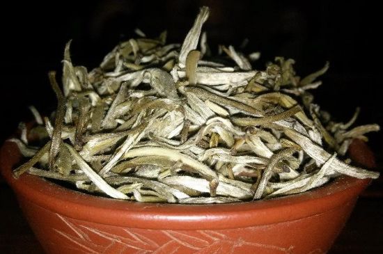 茉莉花茶6種人不要喝，什么體質(zhì)不適合喝茉莉花茶？