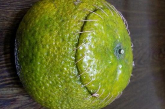 家庭自制柑普茶方法，小青柑制作9個步驟竅門（圖片）