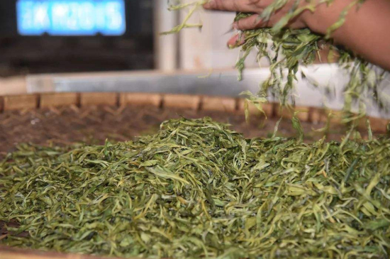 炒青綠茶與綠茶的區(qū)別，烘青和炒青哪個好喝？