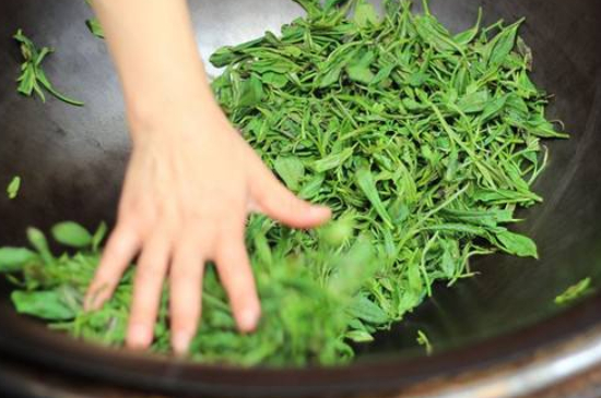 炒青綠茶與綠茶的區(qū)別，烘青和炒青哪個好喝？