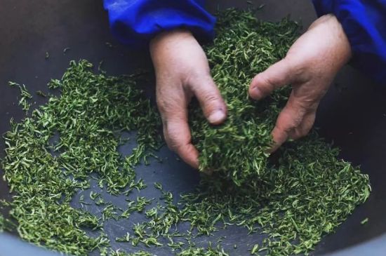 自家炒茶葉怎么炒，自己炒茶葉的步驟