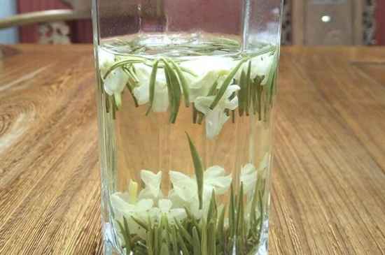 女孩喝茉莉茶的好處，茉莉茶葉的功效與禁忌