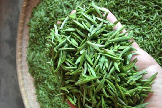 采茶的方法與步驟，如何正確采摘茶葉？