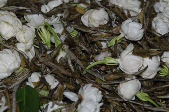 茉莉龍珠怎么做的，茉莉龍珠的制作工藝