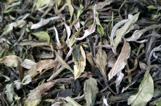 福鼎白茶貢眉和壽眉的區(qū)別，壽眉與貢眉有什么區(qū)別