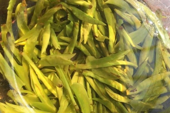 龍井是明前的好還是雨前的好，明前茶和雨前茶哪個好喝？