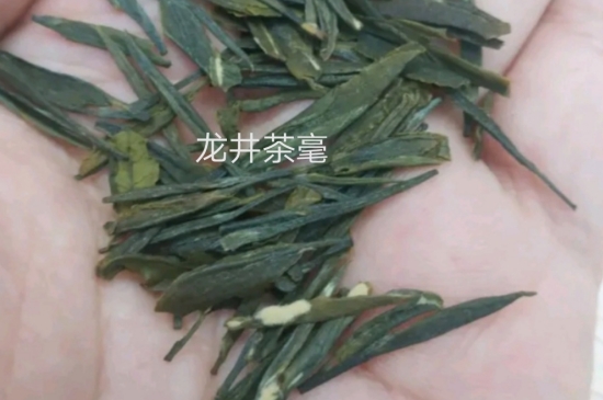 西湖龍井茶毫和發(fā)霉區(qū)別圖片，長霉的龍井茶葉會是什么樣？