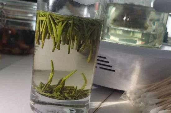 金壇雀舌算不算好茶，金壇雀舌屬于什么檔次茶葉？