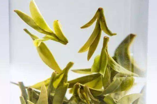 烏牛早和龍井的區(qū)別圖片，龍井43號(hào)和烏牛早茶的對(duì)比