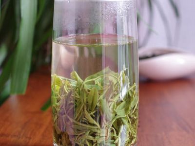 竹葉青和毛尖的區(qū)別，竹葉青和信陽毛尖哪個好？