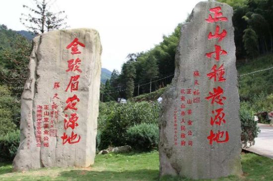 300塊錢(qián)的金駿眉能喝嗎，兩三百多金駿眉和一千多區(qū)別