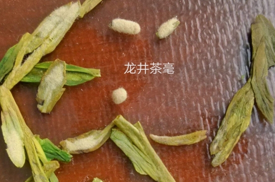 西湖龍井茶毫和發(fā)霉區(qū)別圖片，長霉的龍井茶葉會是什么樣？