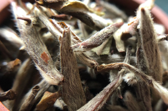 白毫銀針年份越久越好嗎，銀針白毫是否越陳越好