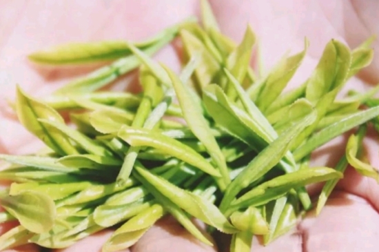 龍井是明前的好還是雨前的好，明前茶和雨前茶哪個好喝？