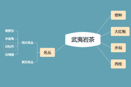 武夷巖茶品種大全，巖茶有幾種？