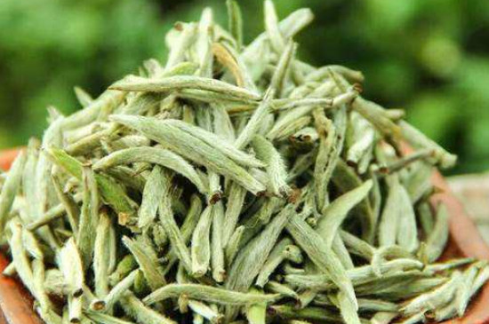 白毫銀針年份越久越好嗎，銀針白毫是否越陳越好