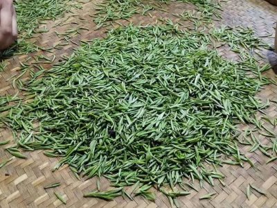 金駿眉幾年可以算陳茶，金駿眉新茶好還是老茶