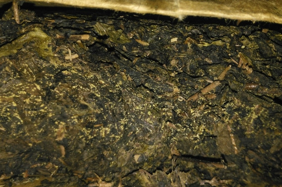 黑茶茯茶保存五大忌，茯茶收藏的注意事項(xiàng)