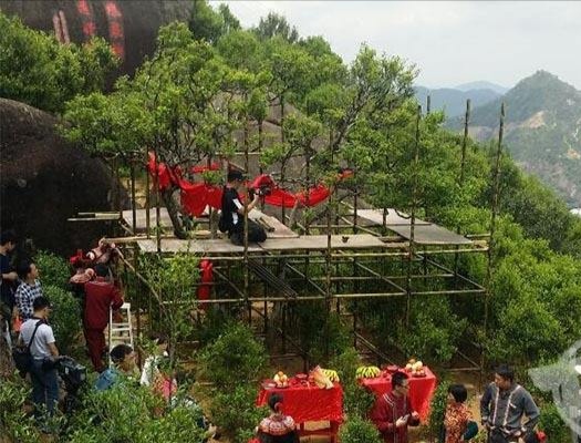 宋種一號價值為什么高，鳳凰單樅宋種1號價格與產(chǎn)量多少？