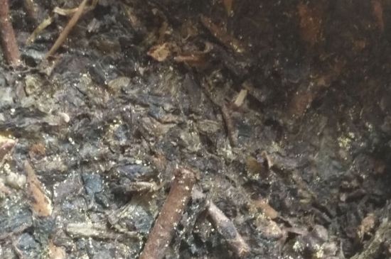 黑茶茯茶保存五大忌，茯茶收藏的注意事項(xiàng)