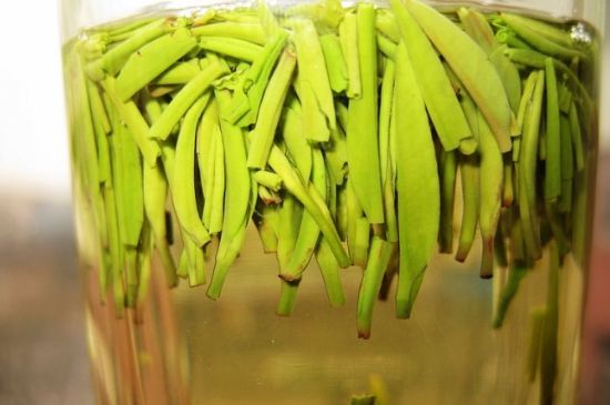 雀舌為何喝著是苦的，雀舌味道怎么那么苦澀？