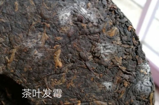 西湖龍井茶毫和發(fā)霉區(qū)別圖片，長霉的龍井茶葉會是什么樣？